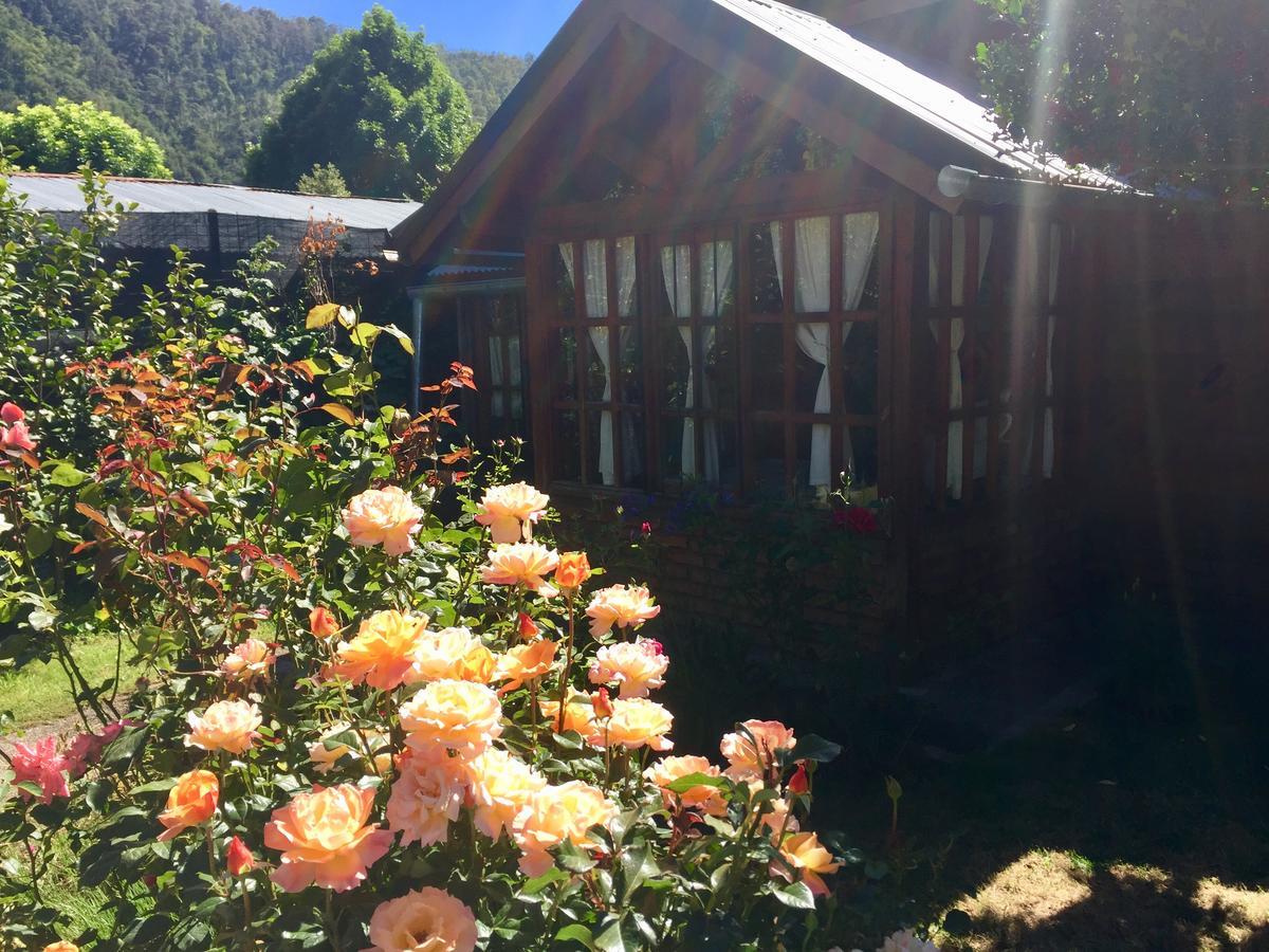 Tu Cabana San Martín de los Andes Esterno foto
